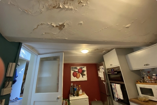 Mold on Wall and Ceiling