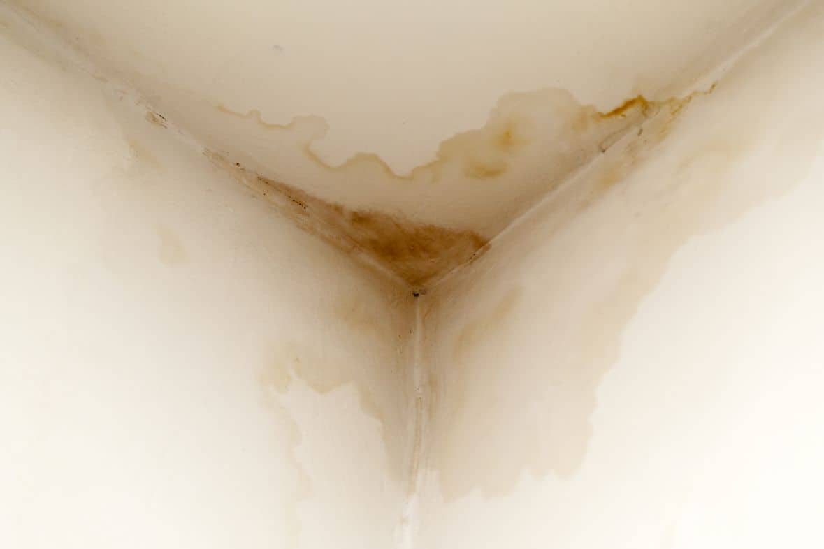 Mold on Wall and Ceiling Mold on Wall and Ceiling