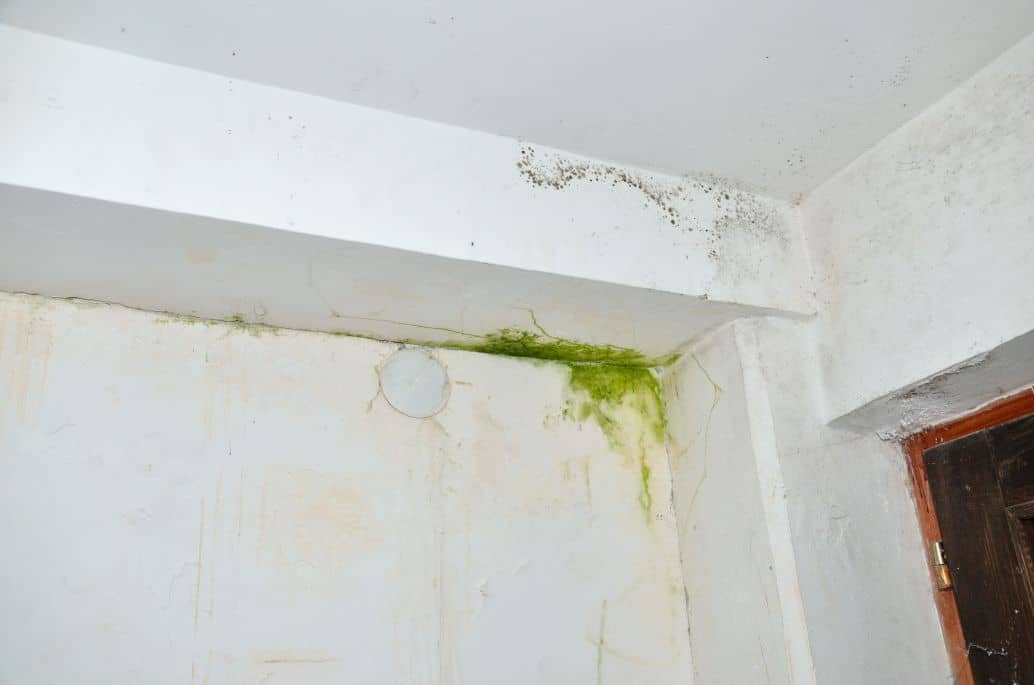 Penetrating Damp London Penetrating Damp Treatment Specialists