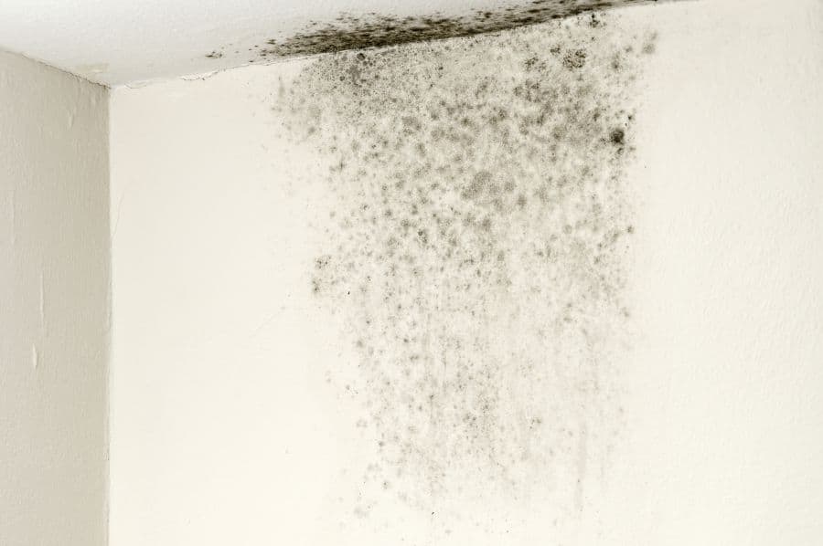 Penetrating Damp London Penetrating Damp Treatment Specialists