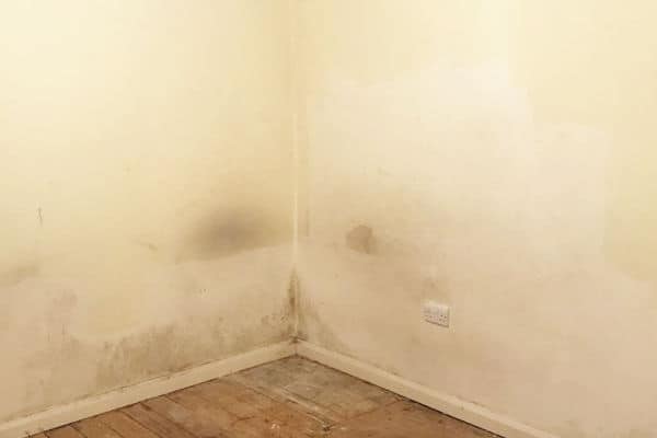 London Damp Specialists