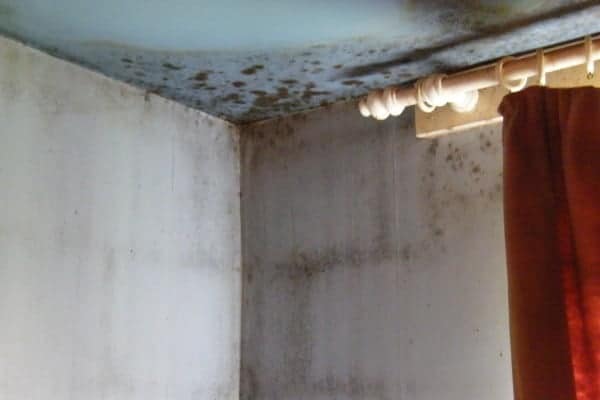 Penetrative damp